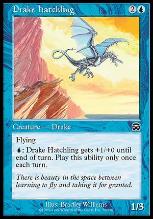 Drake Hatchling